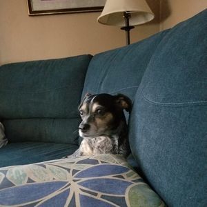 Meet your Posher, Bill